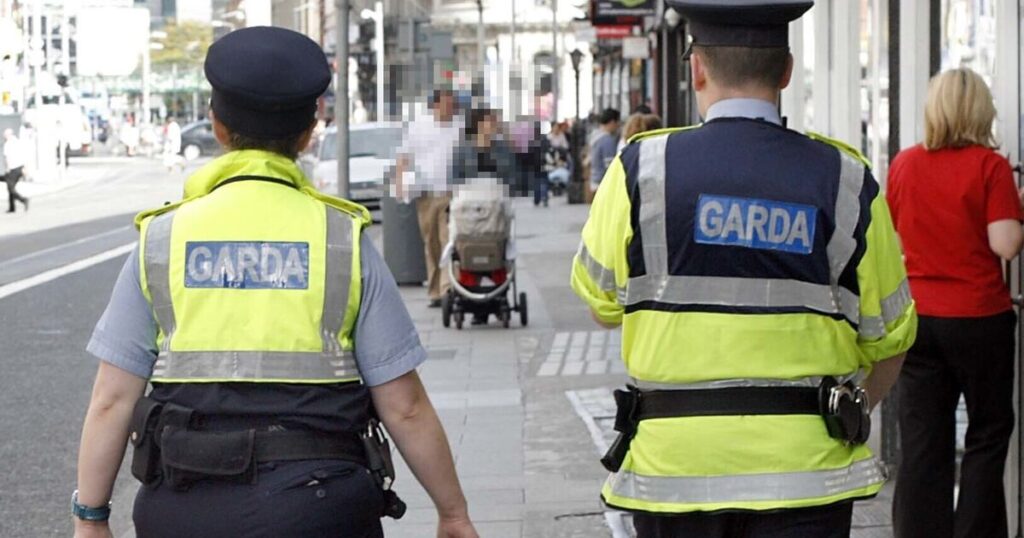 Why is the use of the Irish language significant in the name of the Irish police force